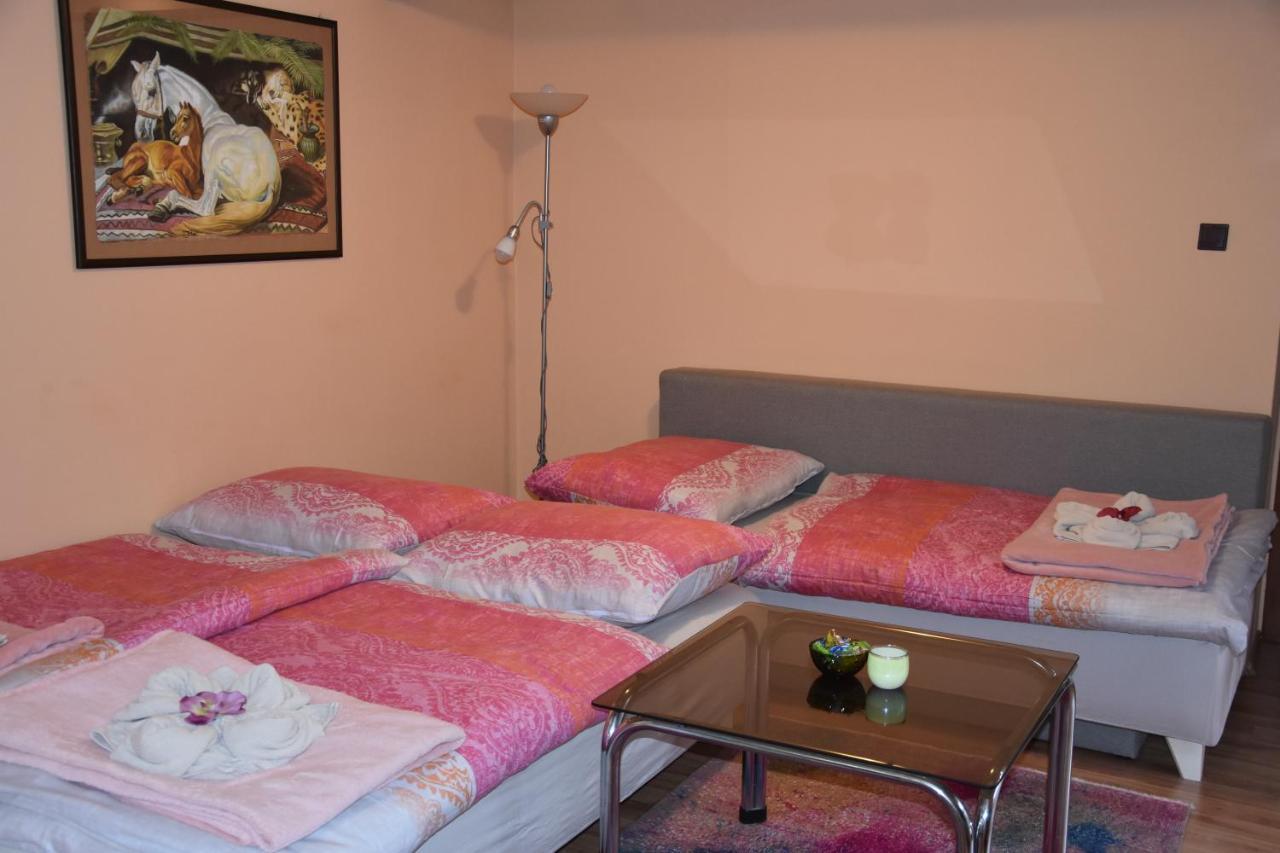 Dafinka Apartment Banska Bystrica Exterior photo